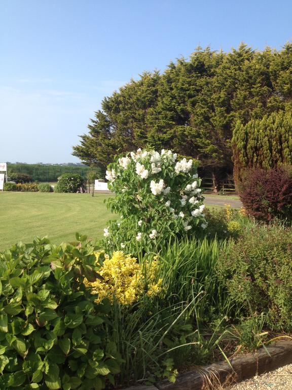 Abrae House Guest House Rosslare Harbour Dış mekan fotoğraf